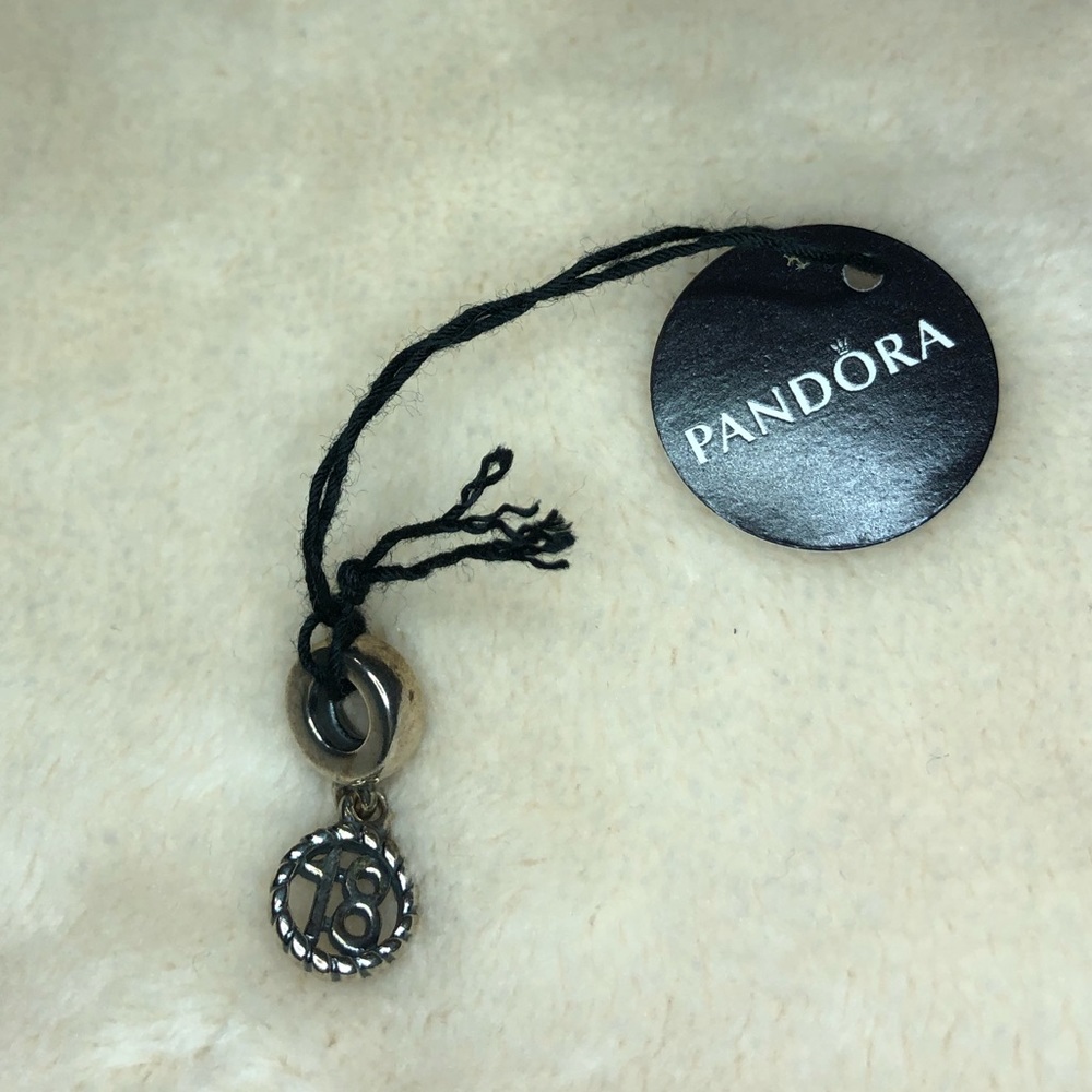 18 Pandora charm